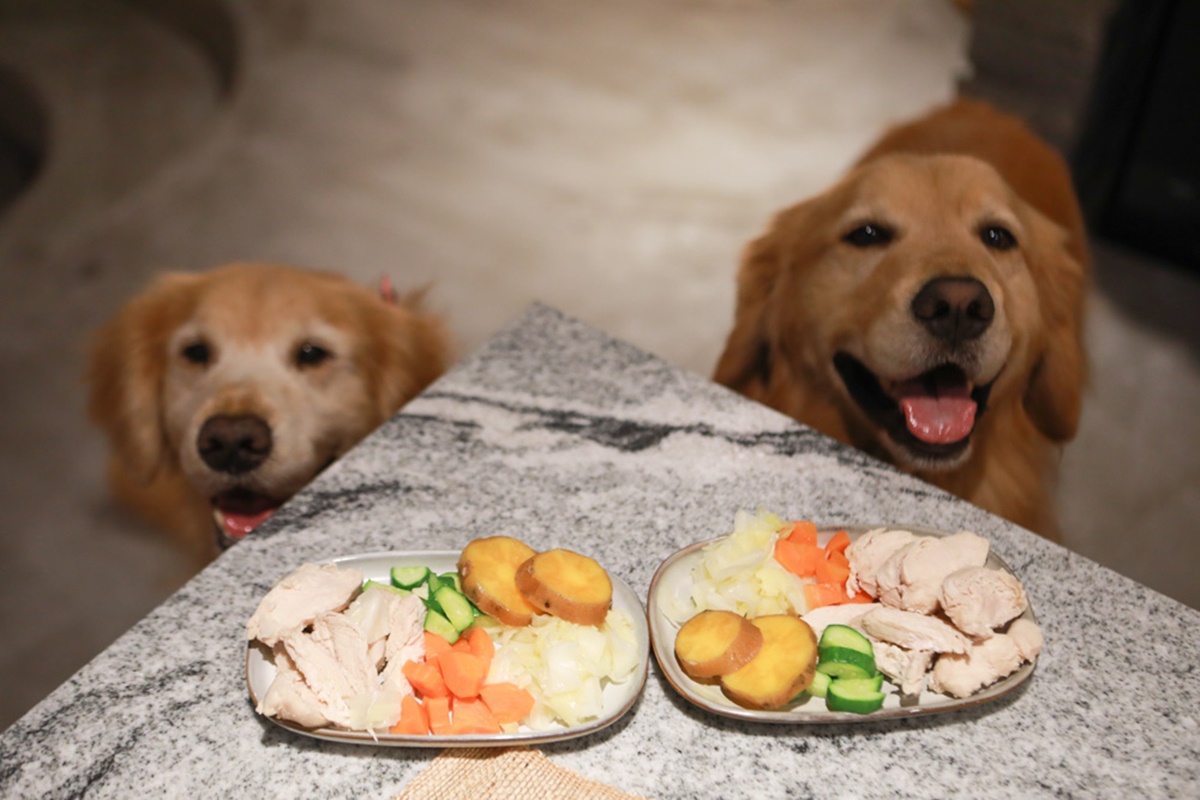 20240102122445-0356aff5