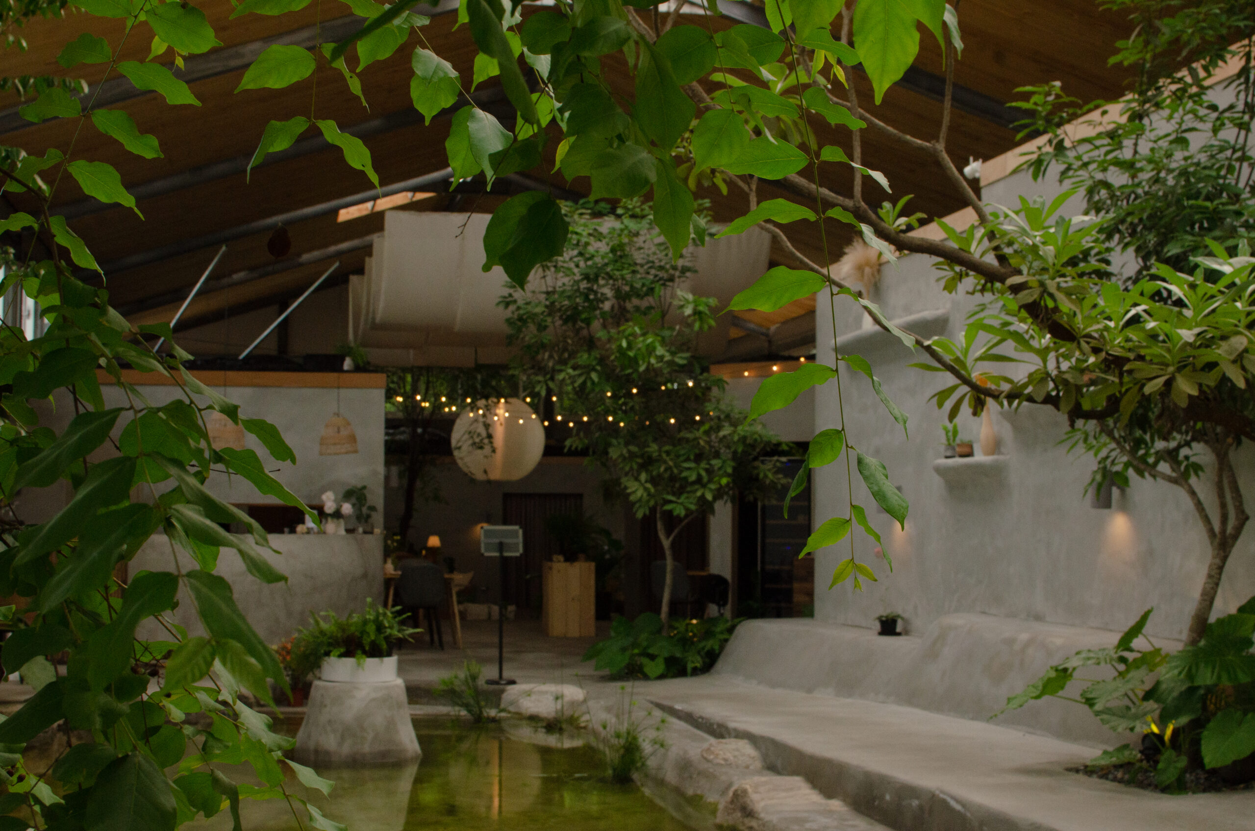 mist gallery下午走道(樹葉前景）